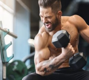 Steroids Will Help You Get the Very Best Body Muscles